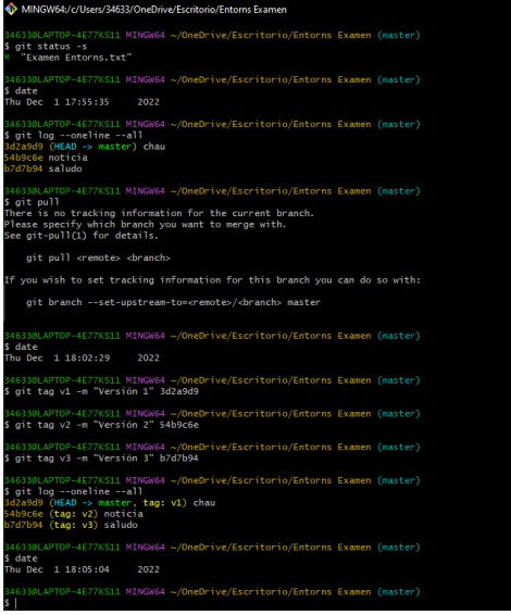 GitHub - anaiiflores/Entregar-examen-Entorns