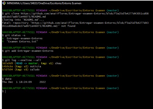 GitHub - anaiiflores/Entregar-examen-Entorns