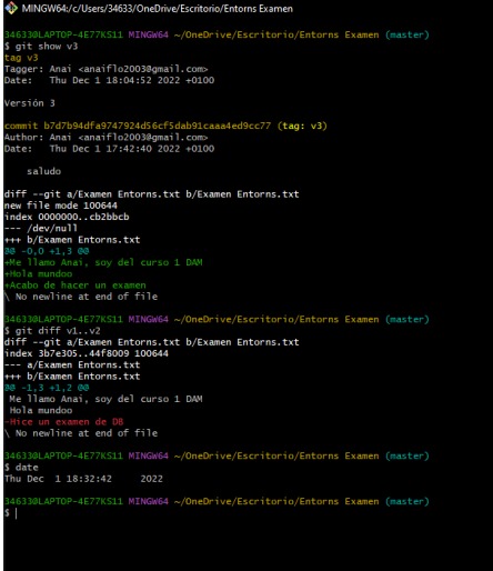GitHub - anaiiflores/Entregar-examen-Entorns