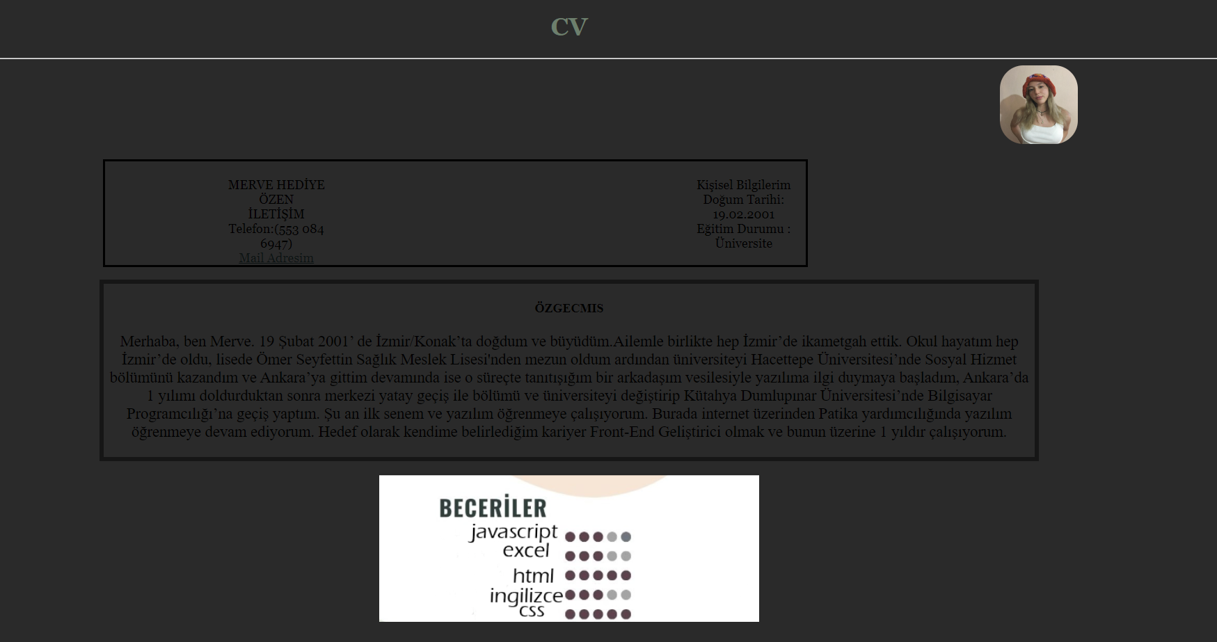 Github mervehediyeozen basics of web design