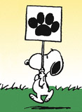 snoopy2