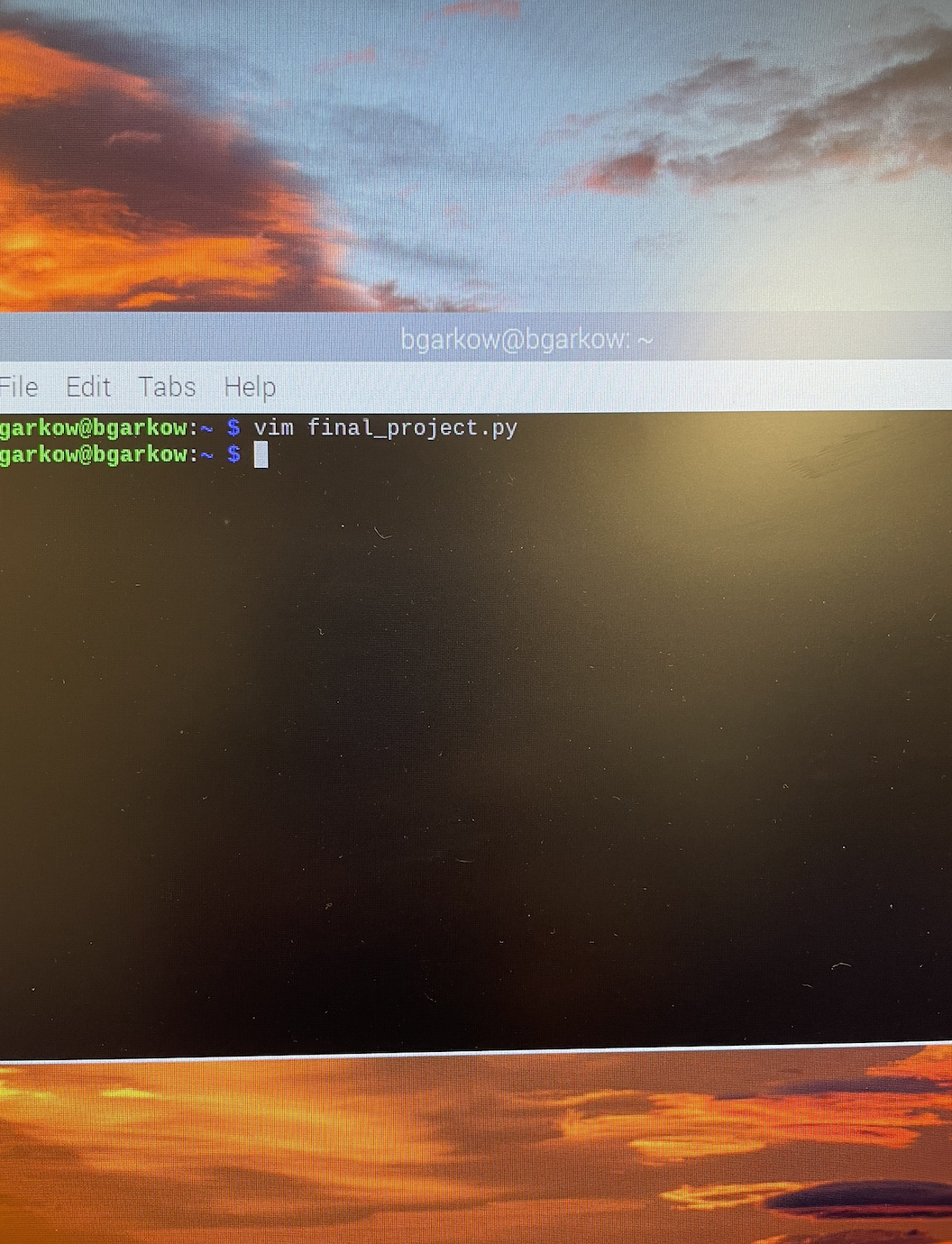 GitHub - bgarkow/final-project