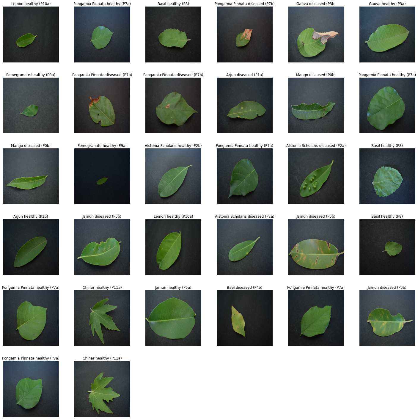 github-arunmalik1-plantleaf-classification