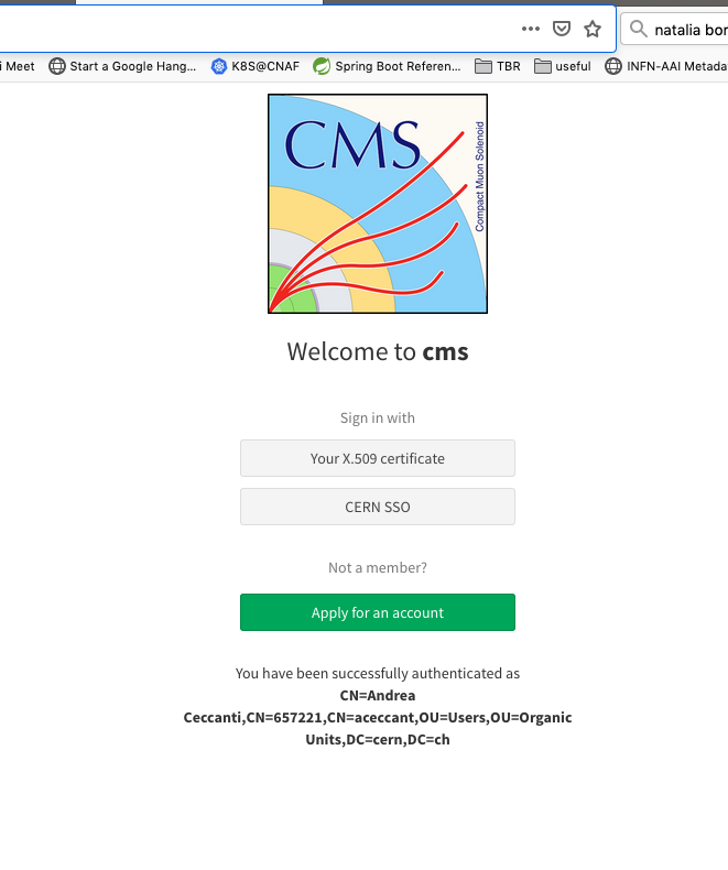 Screenshot 2020-06-15 08 02 15