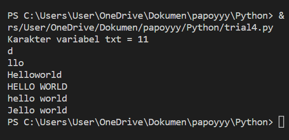 GitHub - DimasF3009/Praktikum-10