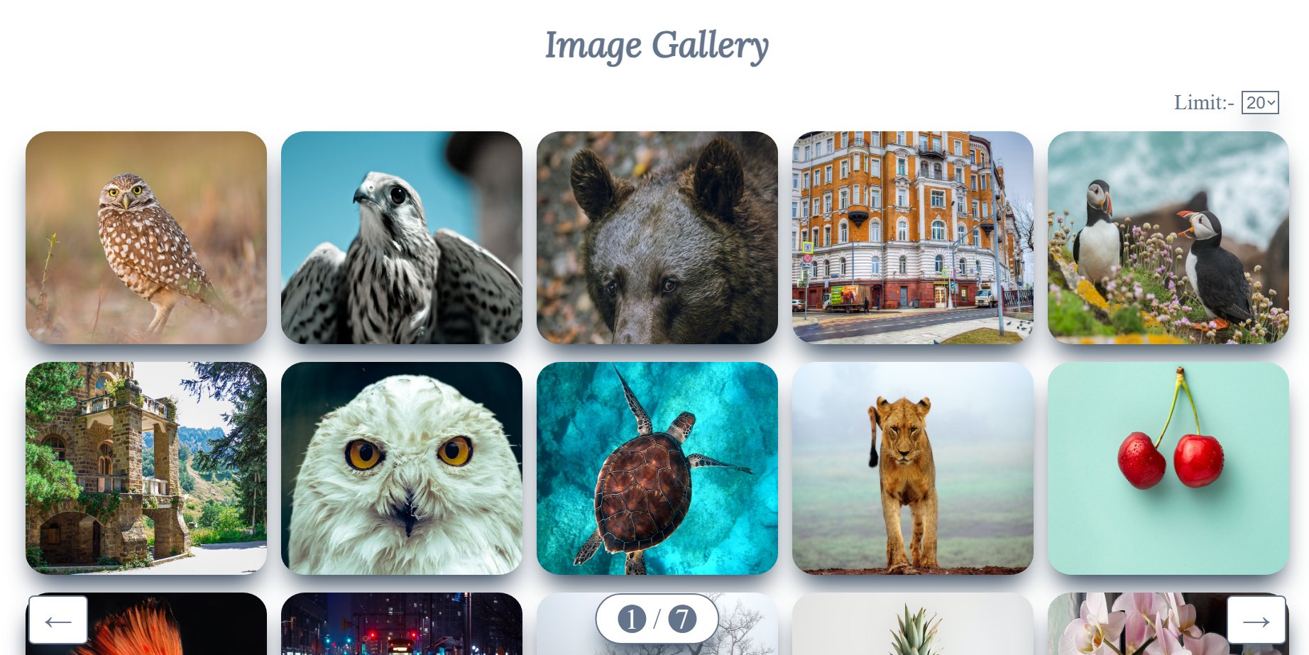 GitHub - AbuZaid55/Image_Gallery: React Image Gallery