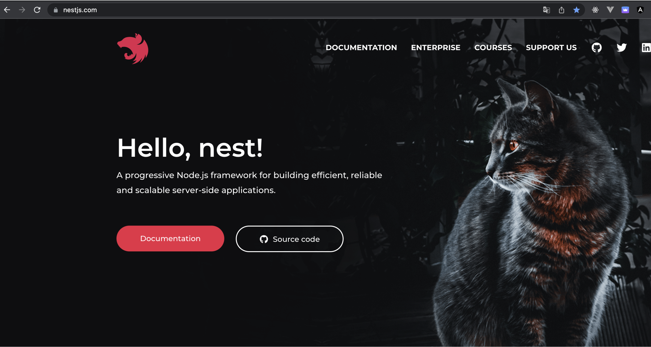 Site down · Issue #2448 · nestjs/docs.nestjs.com · GitHub