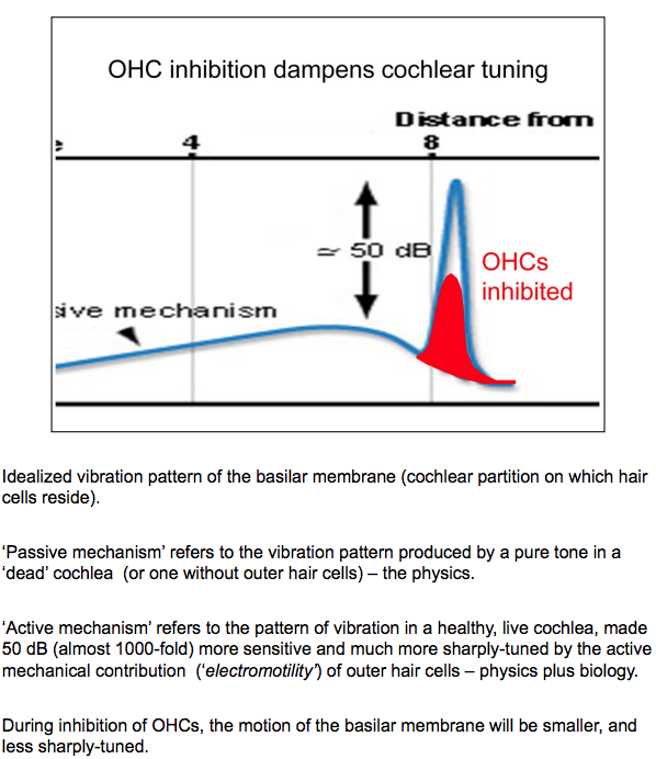 Screen Shot 2021-11-17 at 1 40 23 PM
