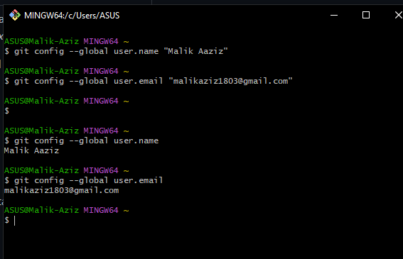GitHub - MalikAziz12/LatihanVCS