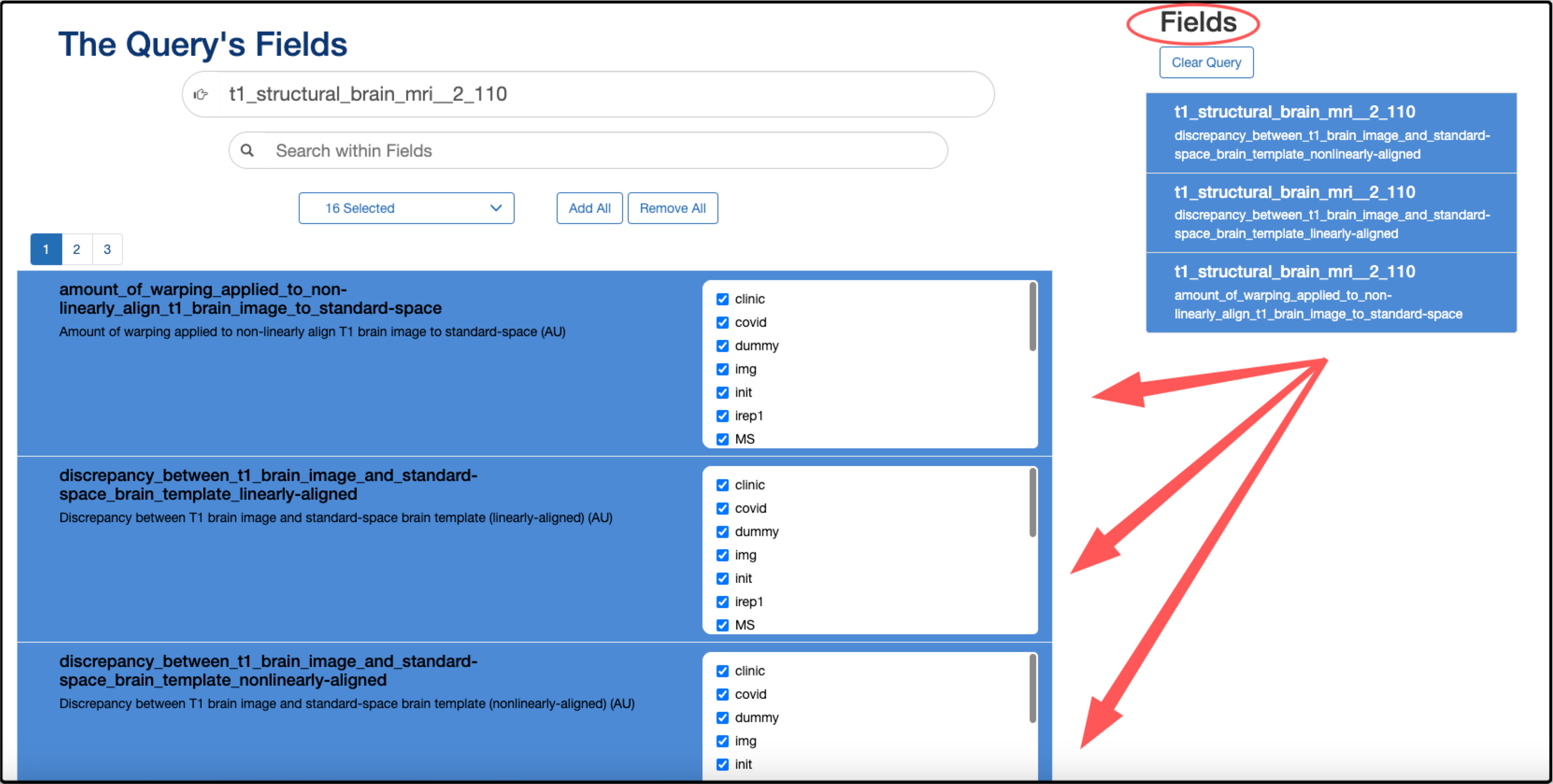 LorisDQT_Definefields_2