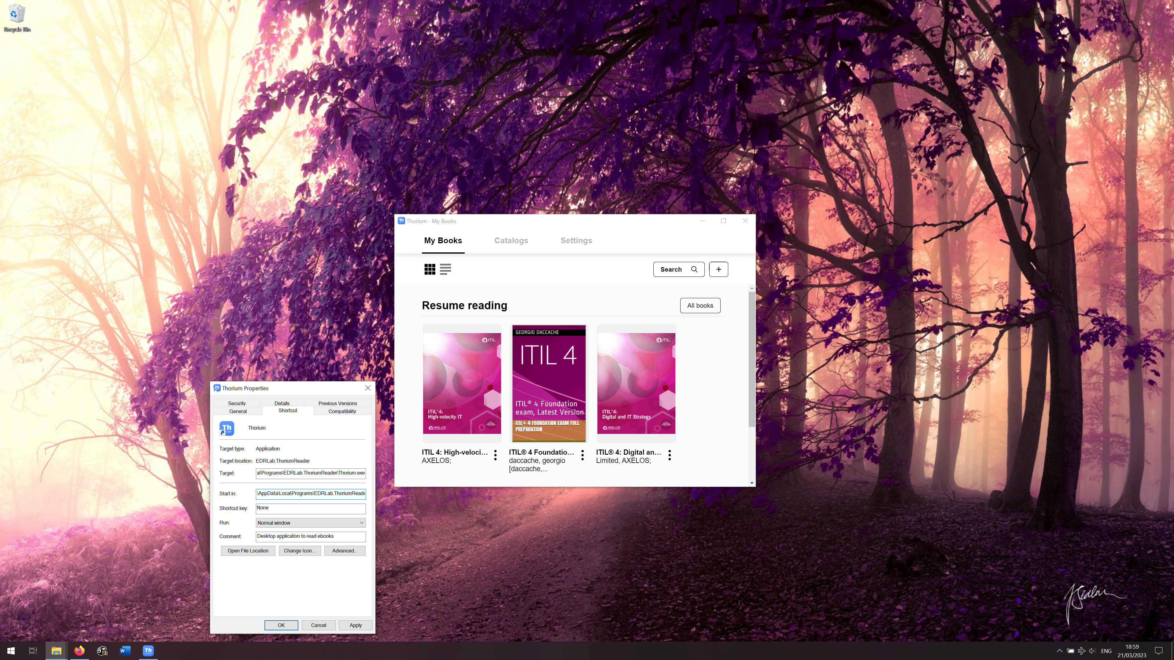 Bug: Default Window Sizing · Issue #1931 · edrlab/thorium-reader · GitHub