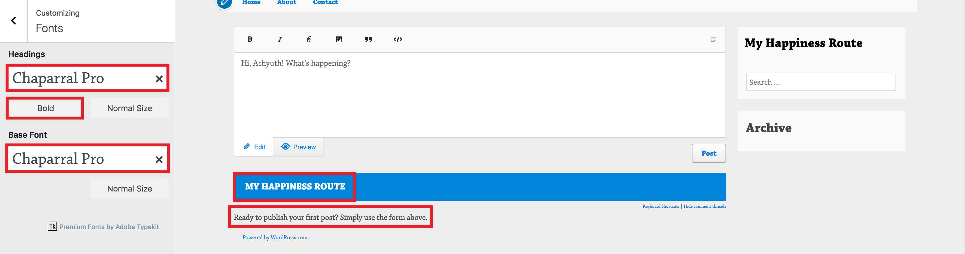 customizer - preview