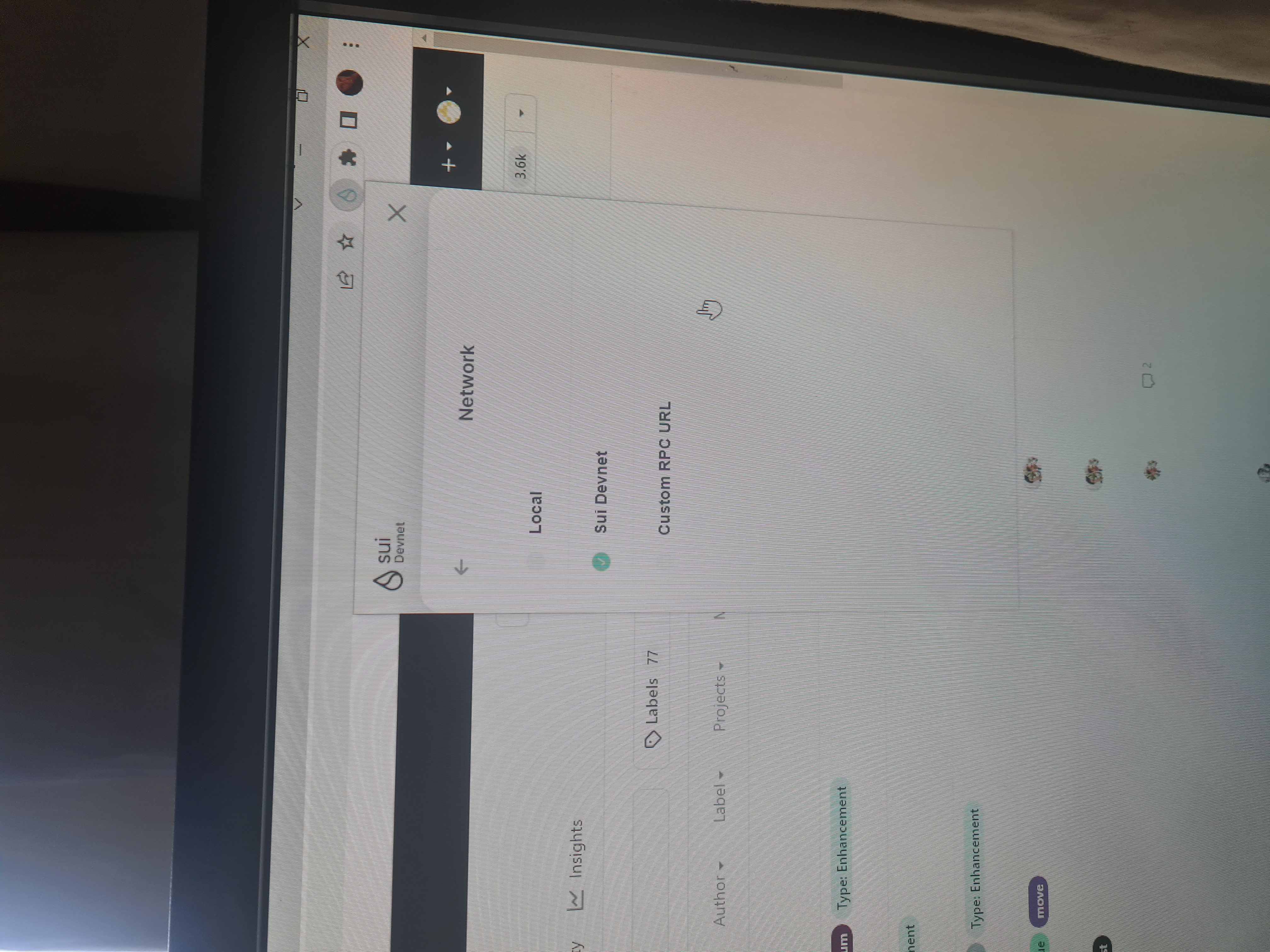 sui wallet - missing · Issue #8348 · MystenLabs/sui · GitHub