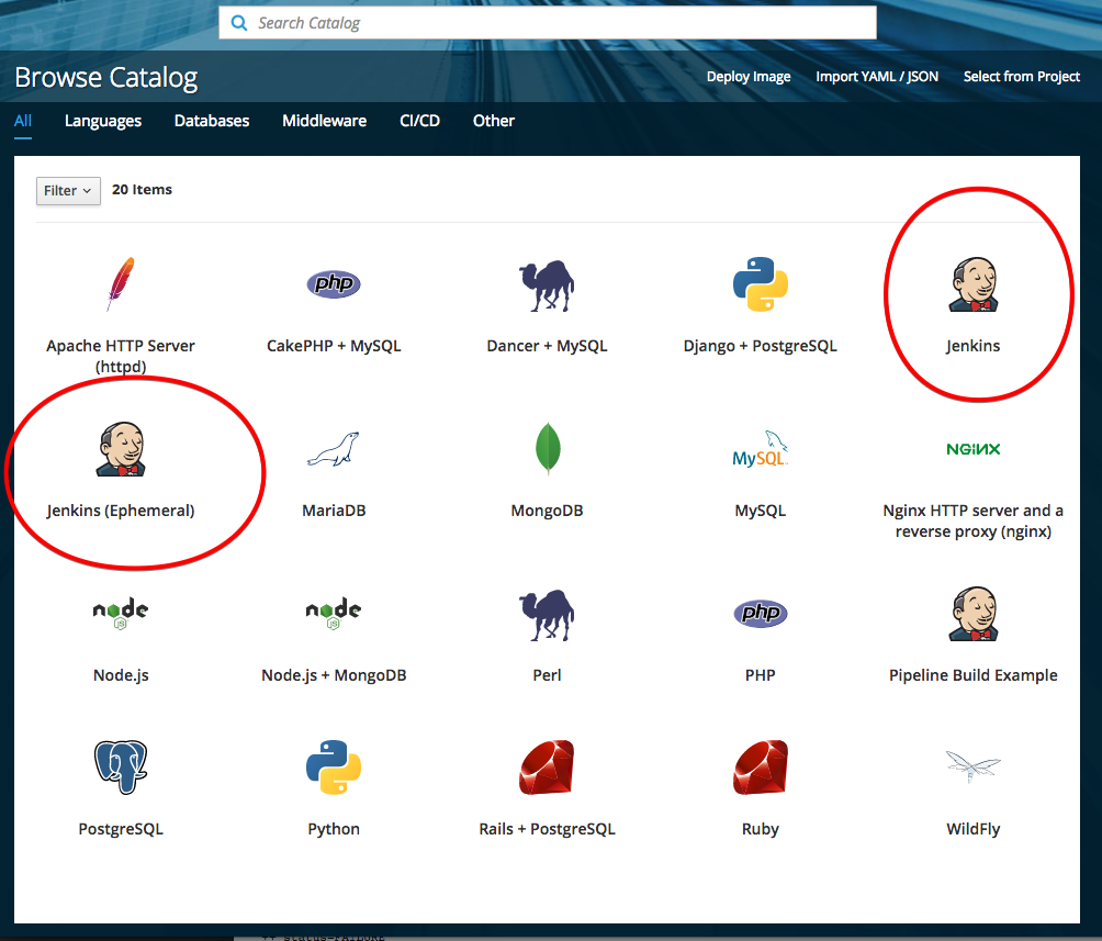 Both Jenkins and Jenkins (Ephemeral) installed by cluster up · Issue ...
