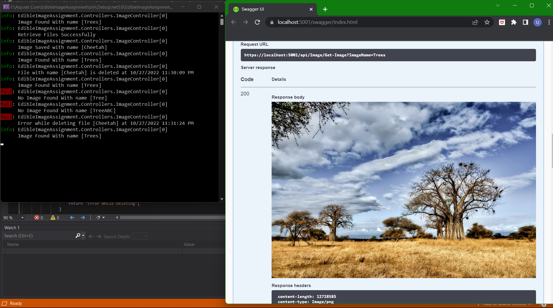 GitHub - Usama-Mobeen/EdibleImageAssignment