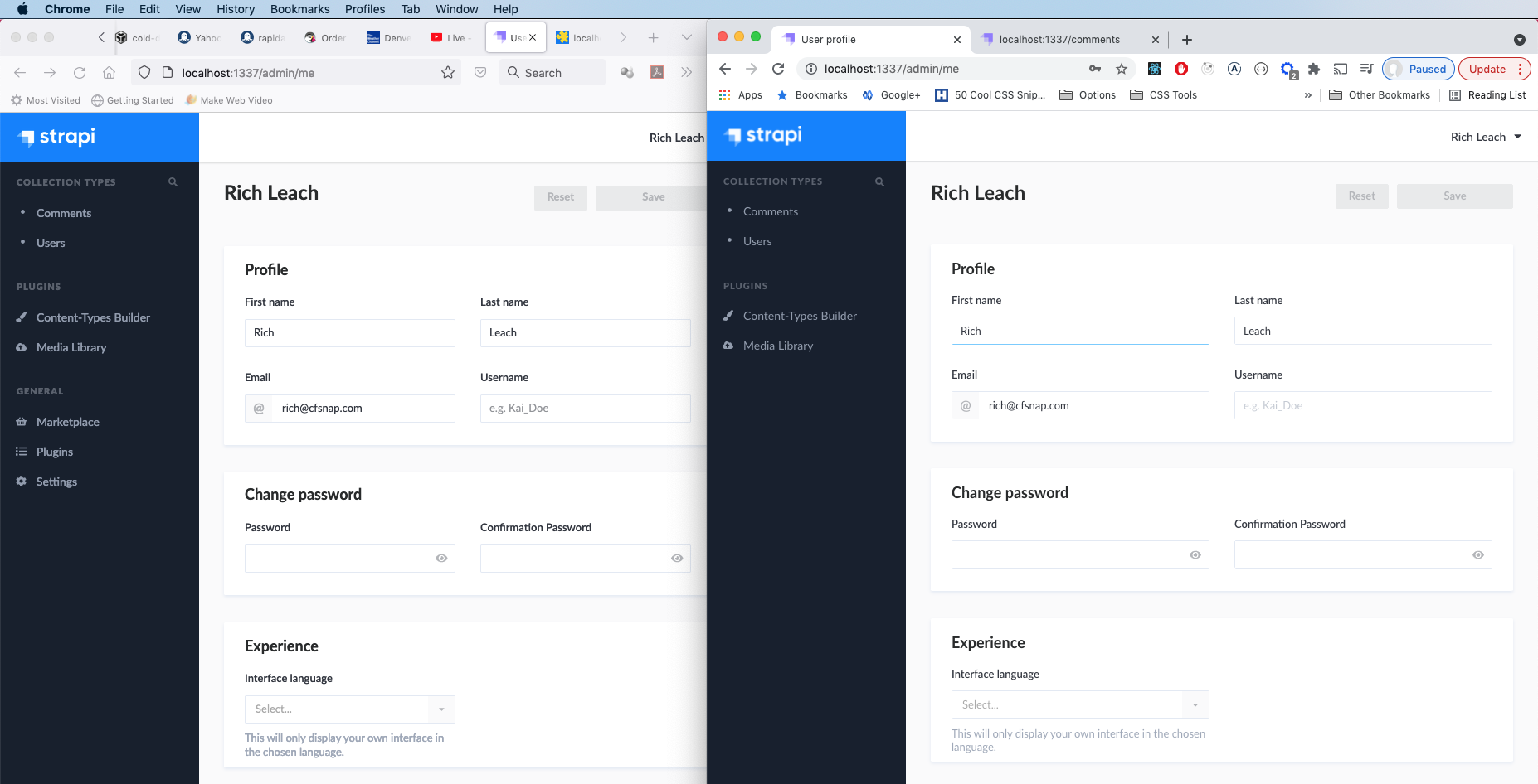 Logging in as admin not working in Chrome, but working in FF · Issue