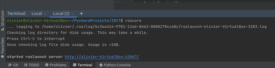 run_roscore