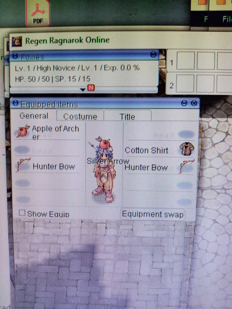 Equip Restriction Bug · Issue #4940 · rathena/rathena · GitHub