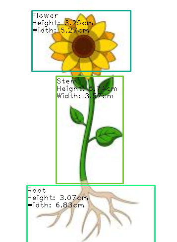 GitHub - ikhan9985/Flower-Parts-Detection-using-YOLOv4-and-Size-and ...