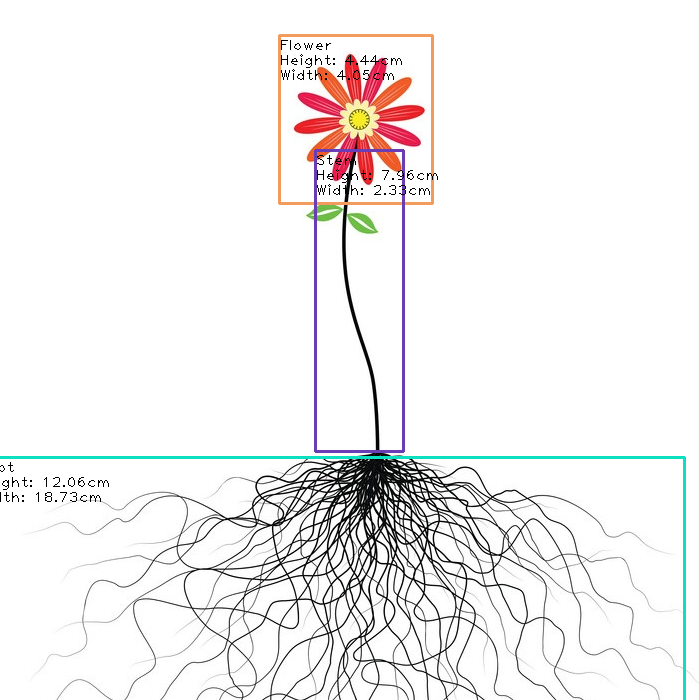 GitHub - ikhan9985/Flower-Parts-Detection-using-YOLOv4-and-Size-and ... image.