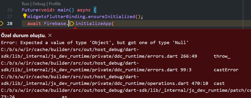 [Web] Error: Expected a value of type 'Object', but got one of type ...