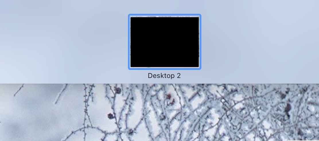 Screenshot 2023-02-27 at 11 25 27 am