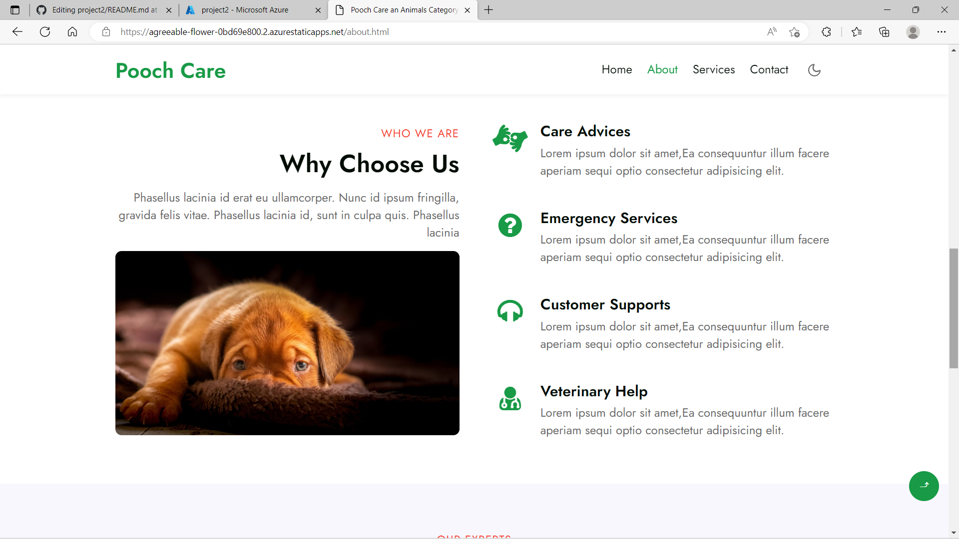 GitHub - kartheeksripuram/project2