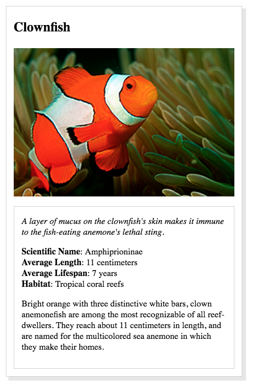 Animal Card Html GitHub - futoounghu/Animal-trading-cards-udacity-project