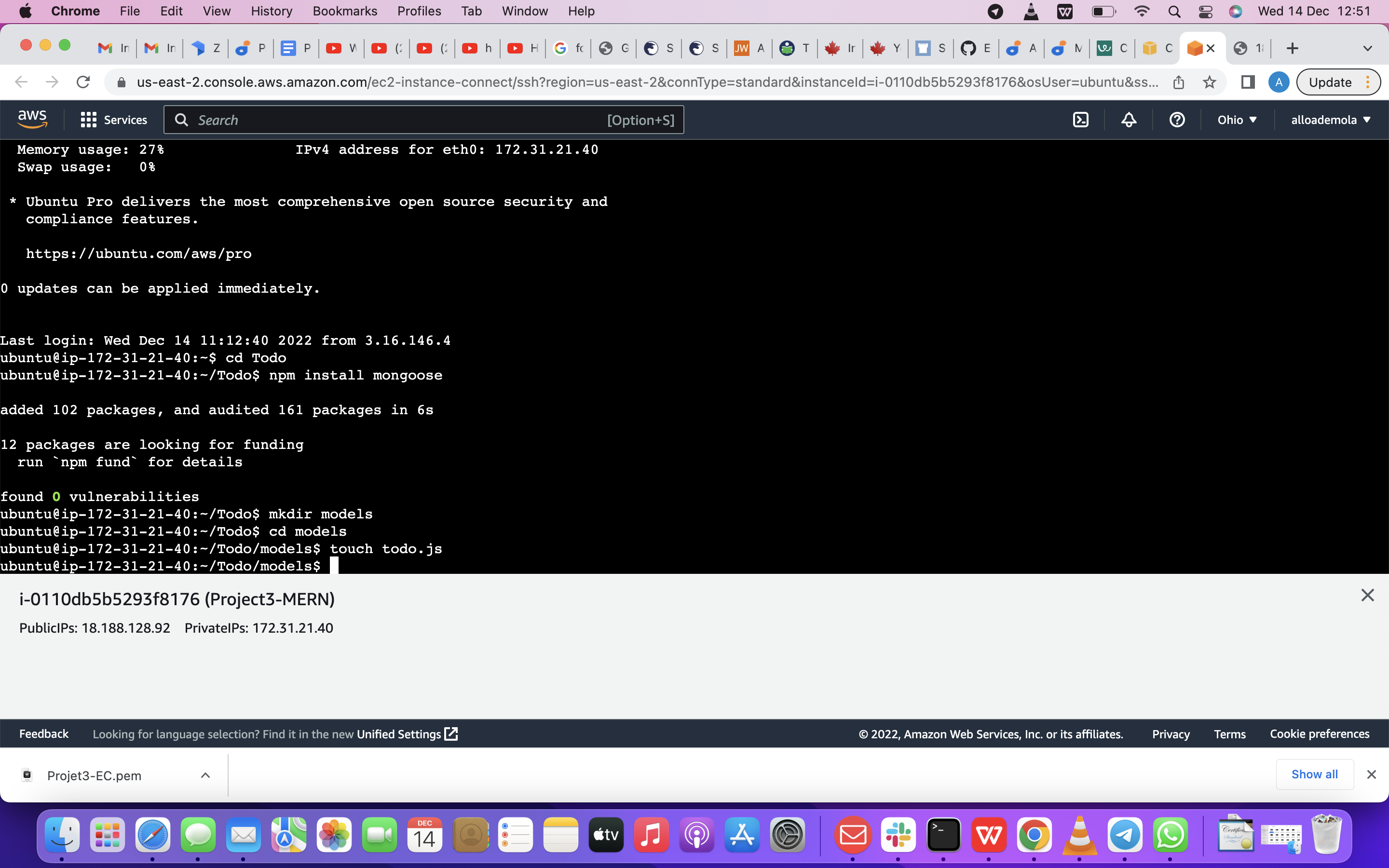 Screenshot 2022-12-14 at 12 51 27