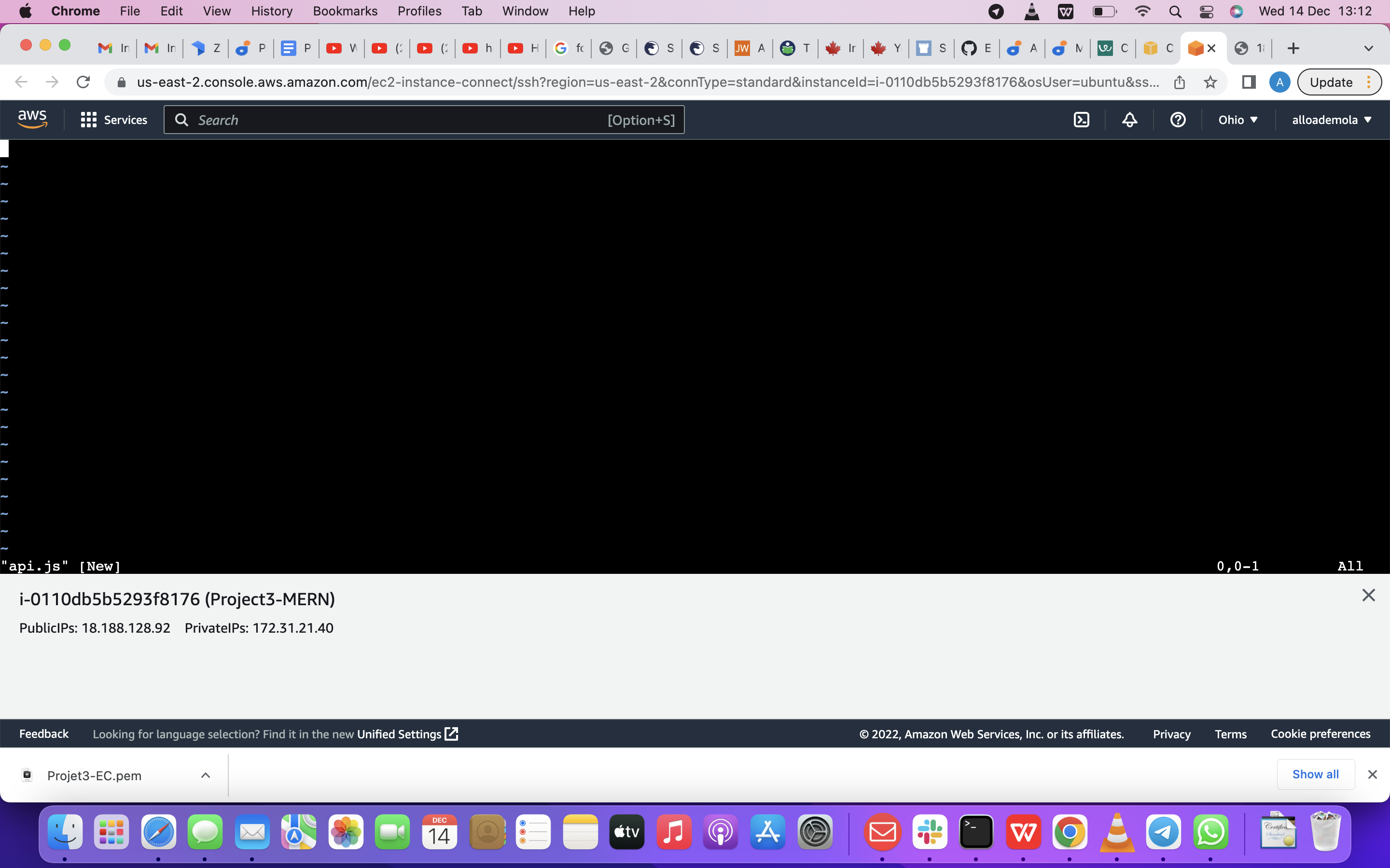 Screenshot 2022-12-14 at 13 12 28