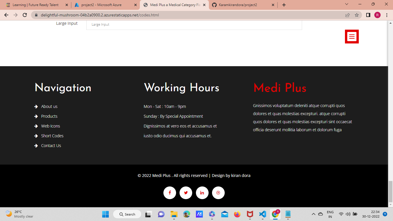 GitHub - Karamkirandora/project2