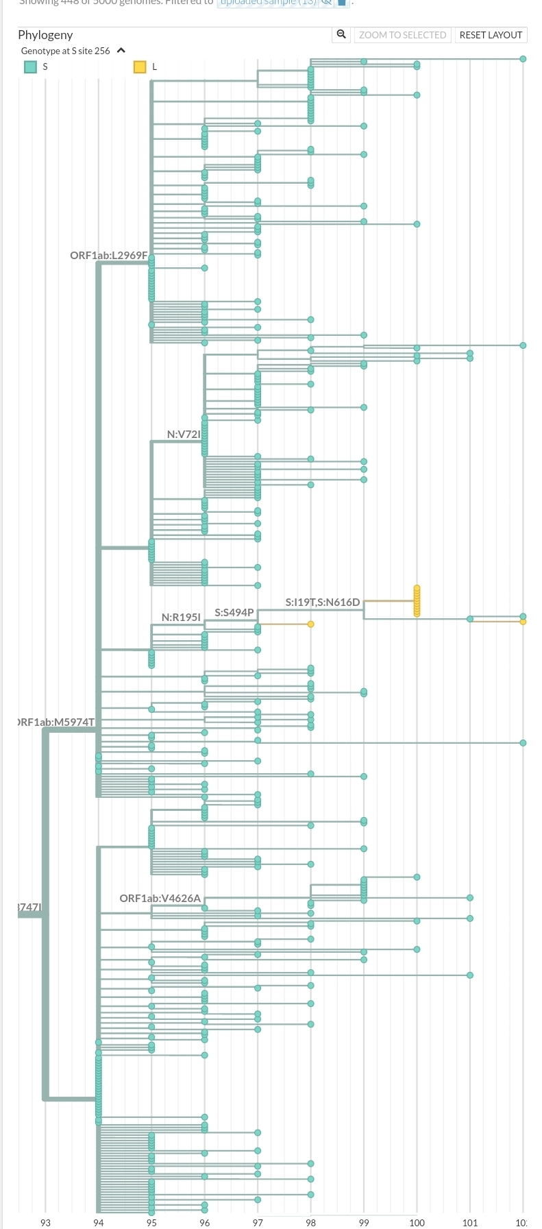 XBB.1.9.1 with S:S256L and S:S494P and 5 other aa muts in france (21 ...