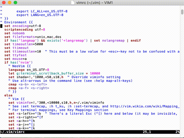 macvim-rendering-issue