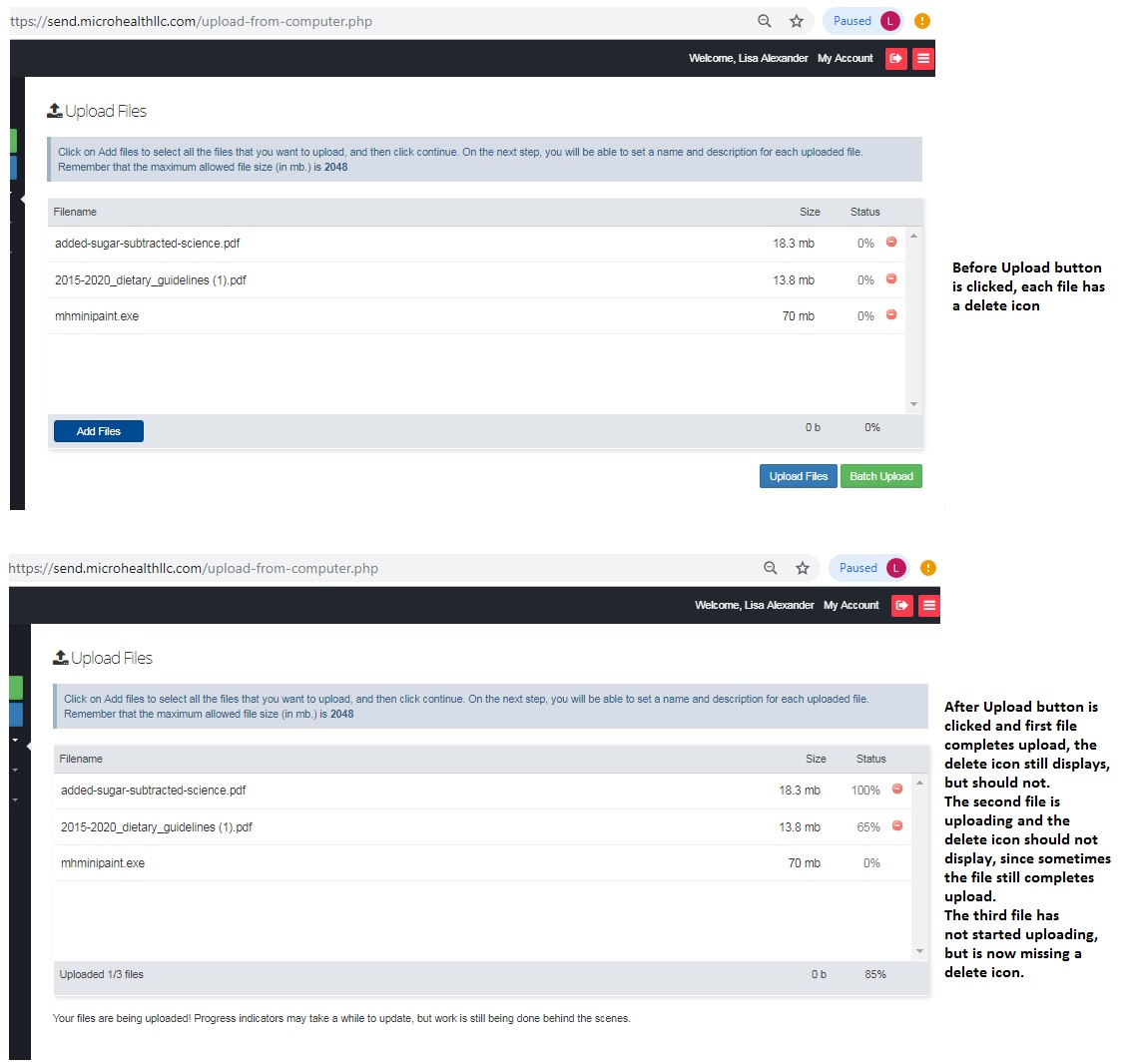Upload Form - delete file icons: Once a file starts uploading remove ...