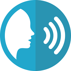 voice input