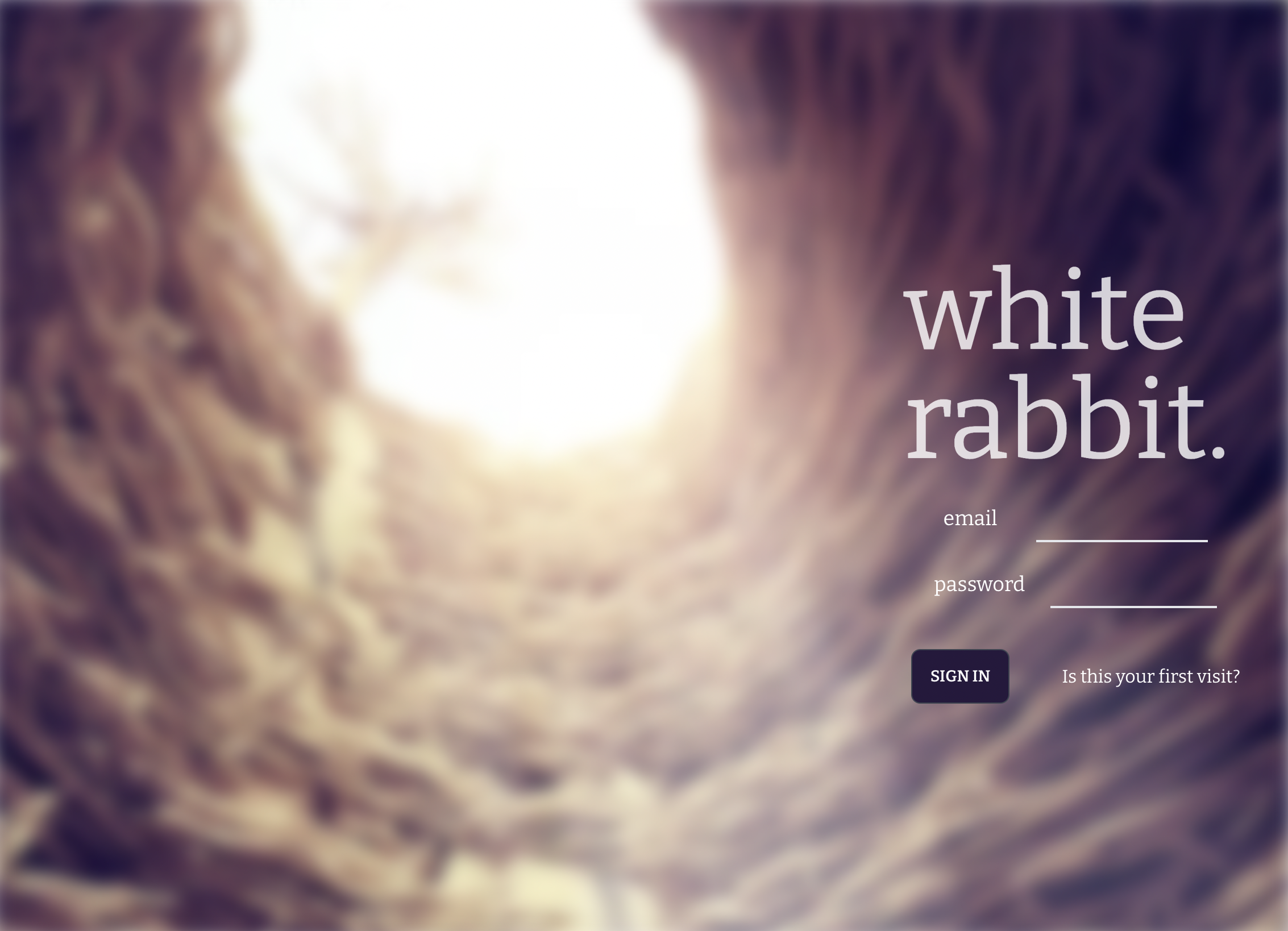 GitHub - visionfiller/white-rabbit · GitHub
