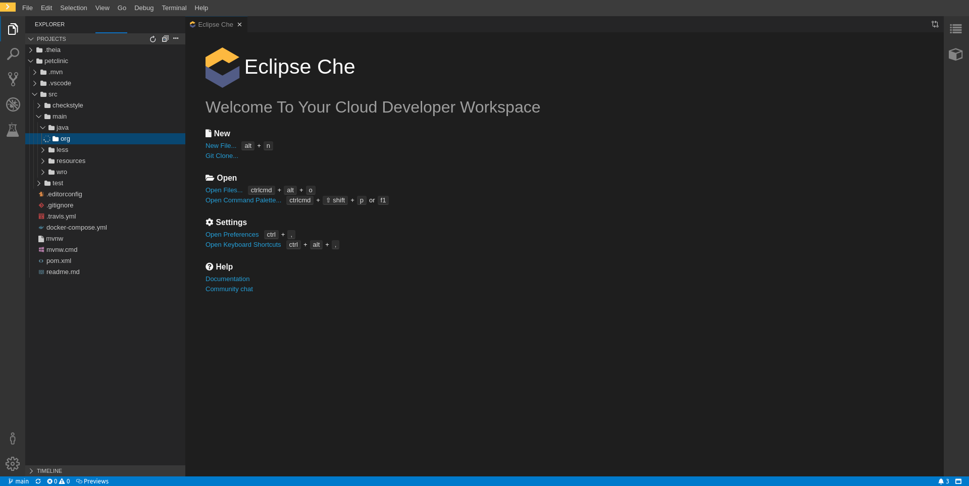 screenshot-Java_LS_initialization