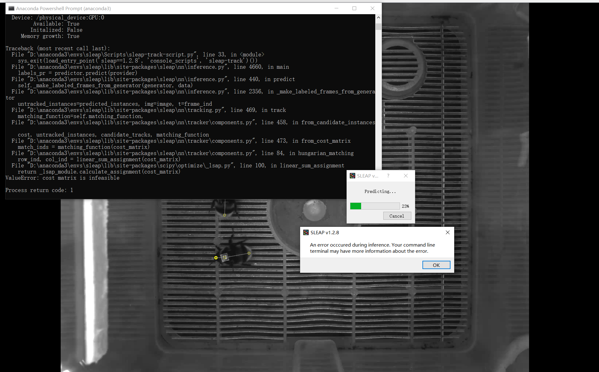 An error when tracking across frame · talmolab sleap · Discussion #1069 ...