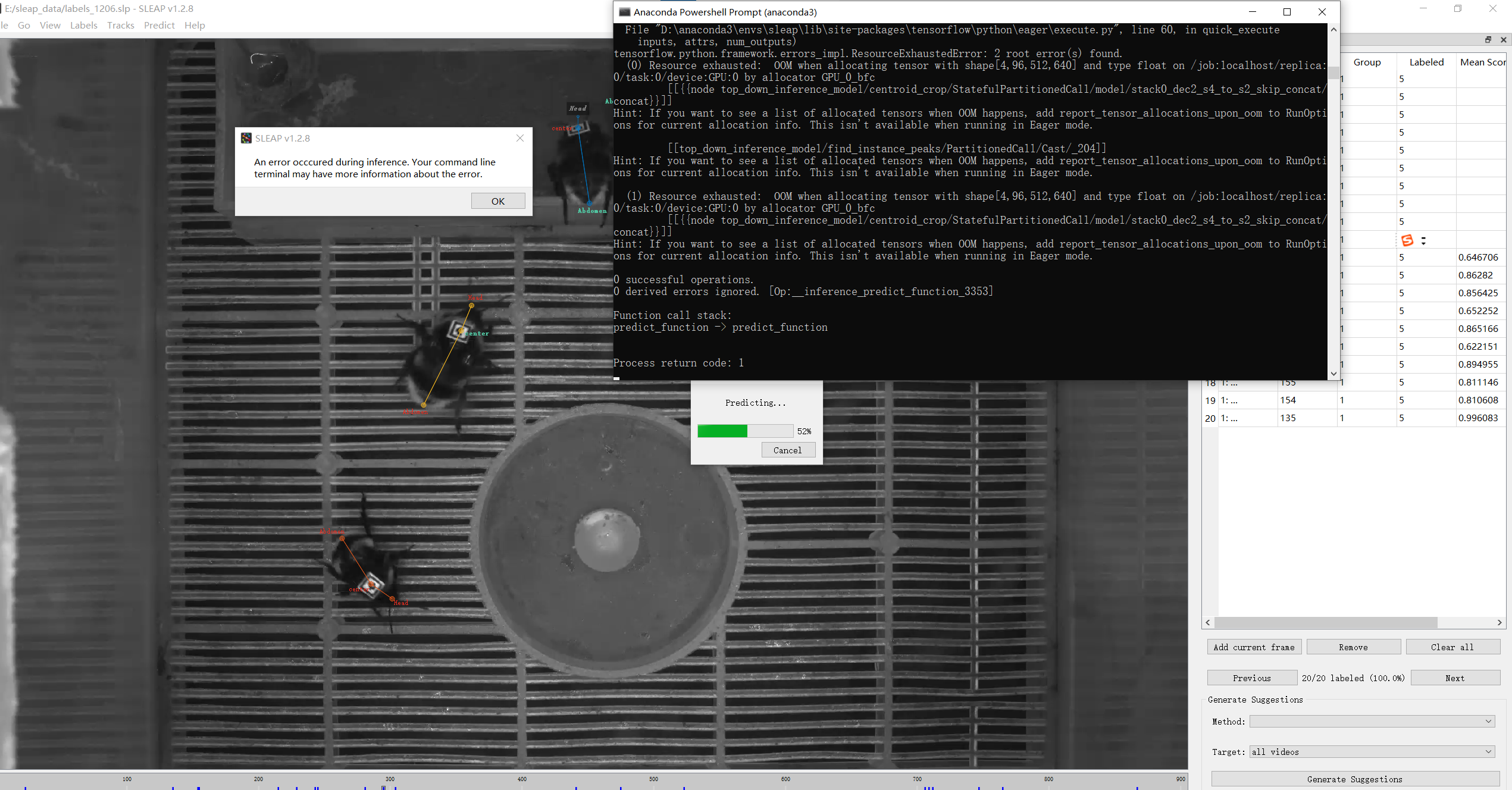 An error when tracking across frame · talmolab sleap · Discussion #1069 ...