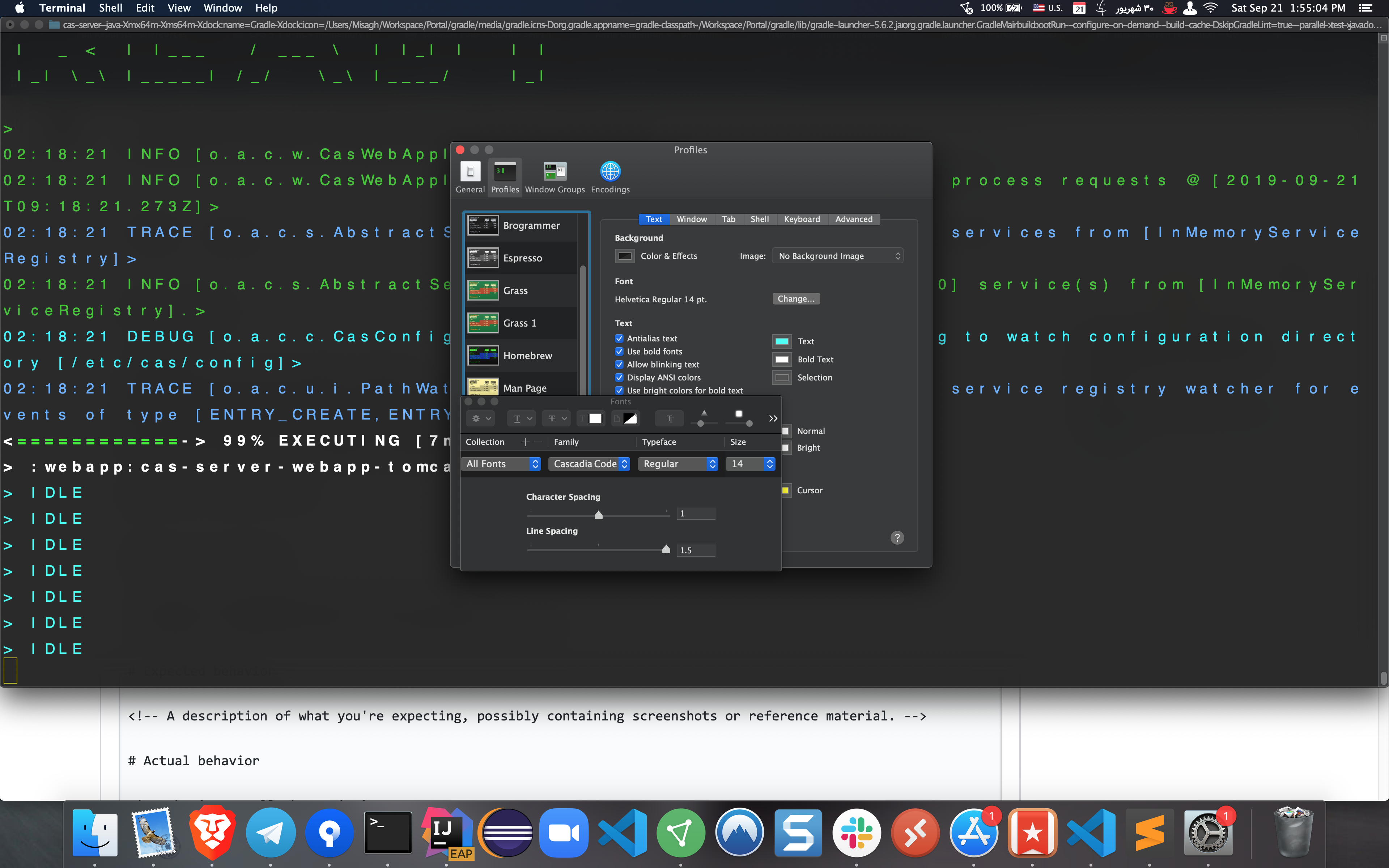 Font selection not recognized or displayed correctly in MacOS Terminal ...