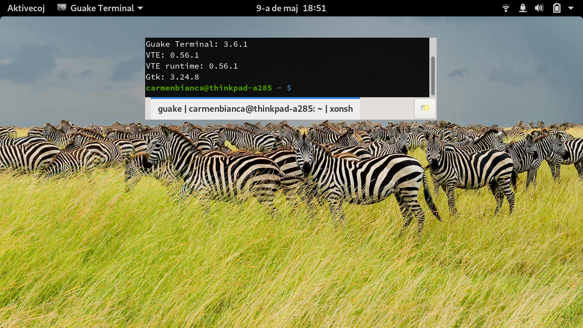 Ekrankopio de 2019-05-09 18-51-33