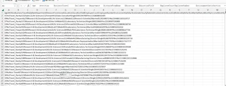 HR Analytics data image