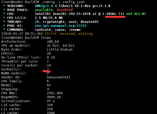 sockets show only one · Issue #343 · xmrig/xmrig · GitHub