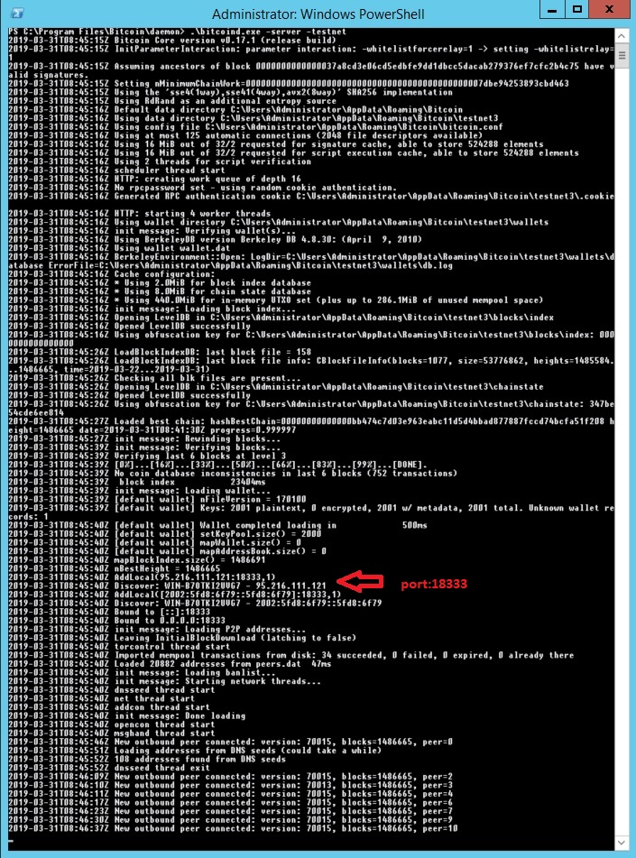 connection problem on TestNet · Issue #168 · dgarage/NBXplorer · GitHub