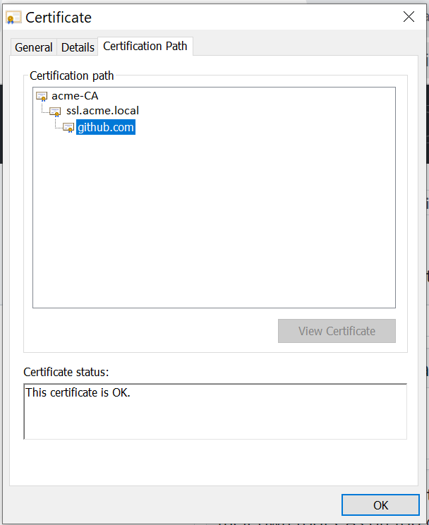 npx hardhat compile fails with self signed certificate in certificate