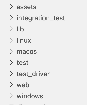 Structure application folders. · Issue #118007 · flutter/flutter · GitHub