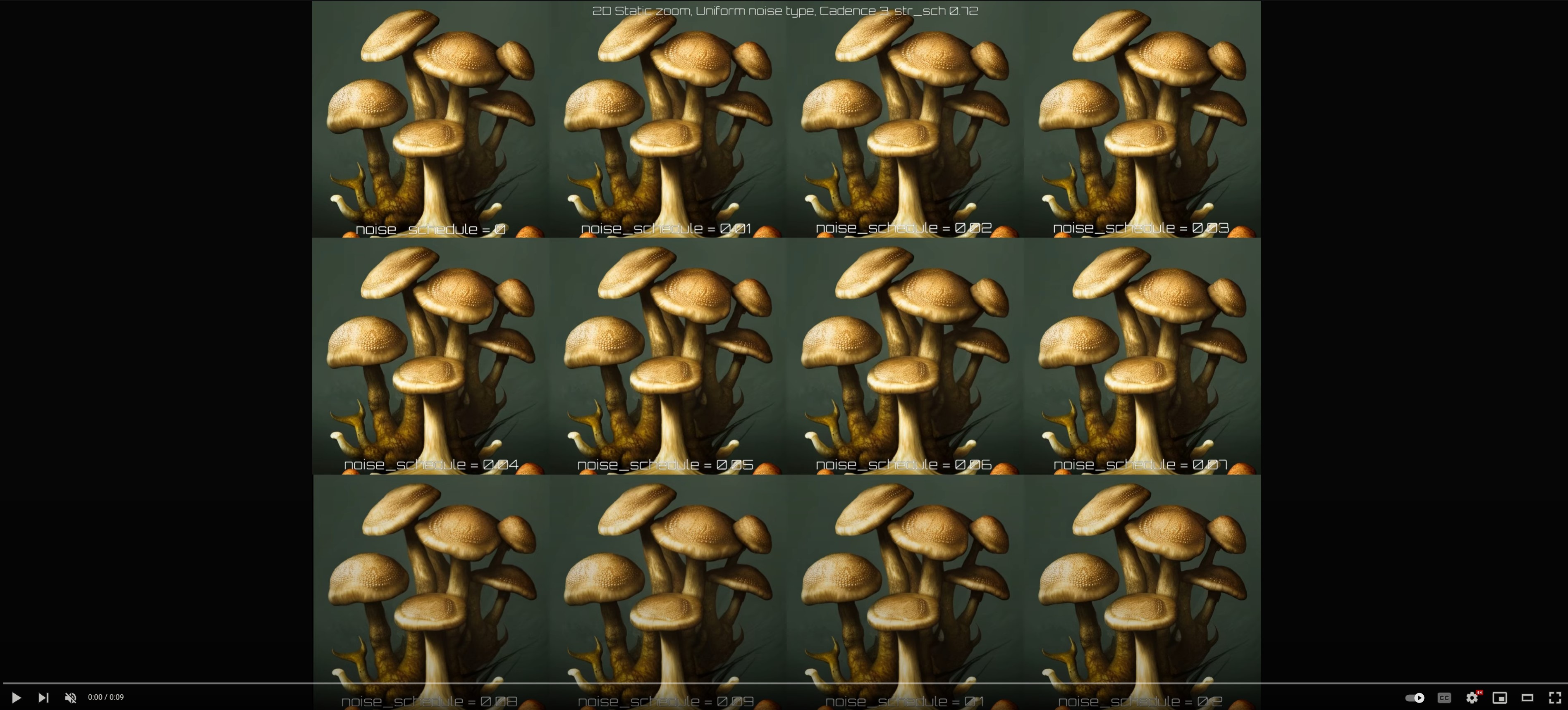 uniform_2d_static_zoom_noise_schedule