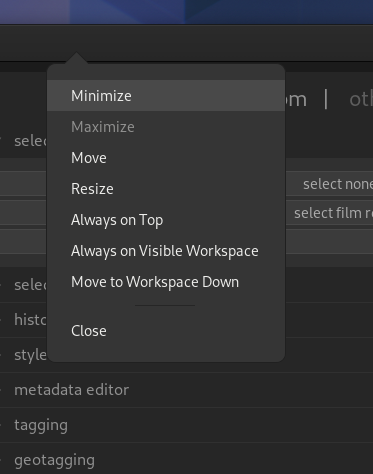 Window width can't be changed in lighttable mode · Issue #4521 ...