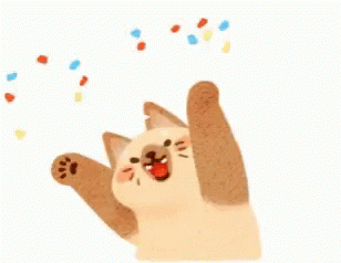confetti-cat