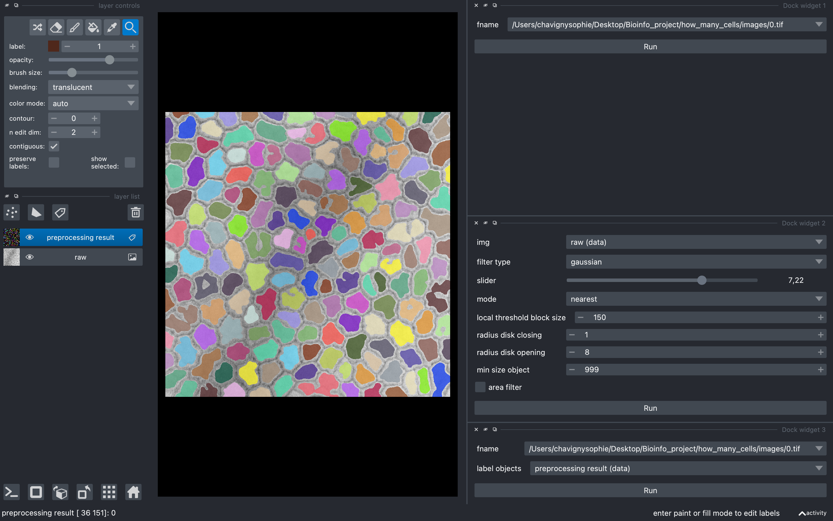 GitHub - sophiech05/Leaf-epithelium-analysis-using-Python